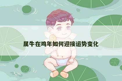 属牛在鸡年如何迎接运势变化