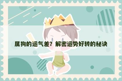 属狗的运气差？解密运势好转的秘诀