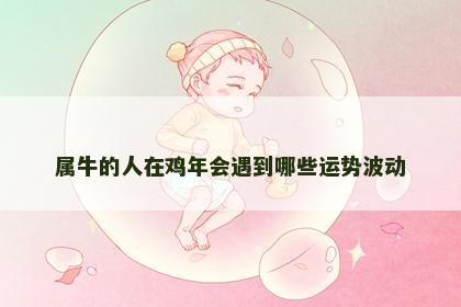 属牛的人在鸡年会遇到哪些运势波动