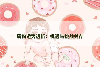 属狗运势透析：机遇与挑战并存