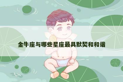 金牛座与哪些星座最具默契和和谐
