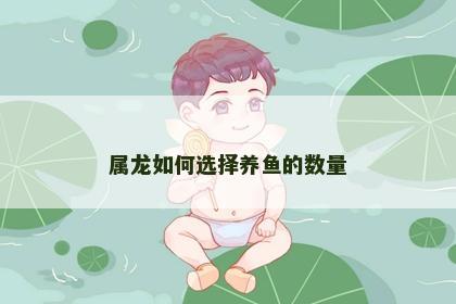 属龙如何选择养鱼的数量