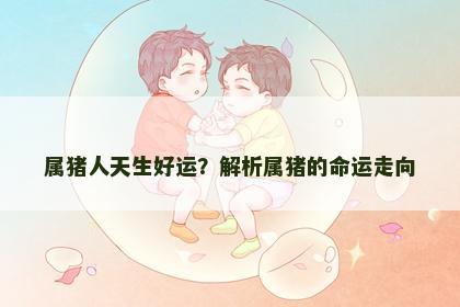 属猪人天生好运？解析属猪的命运走向