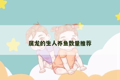 属龙的生人养鱼数量推荐
