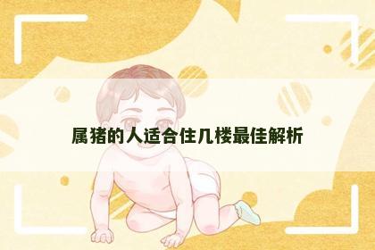 属猪的人适合住几楼最佳解析