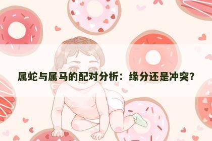 属蛇与属马的配对分析：缘分还是冲突？