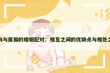 属狗与属猴的婚姻配对：相互之间的优缺点与相处之道