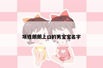 项姓朗朗上口的男宝宝名字
