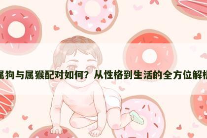属狗与属猴配对如何？从性格到生活的全方位解析
