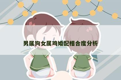 男属狗女属鸡婚配相合度分析