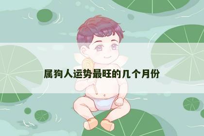 属狗人运势最旺的几个月份
