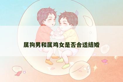 属狗男和属鸡女是否合适结婚