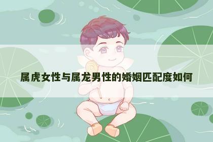 属虎女性与属龙男性的婚姻匹配度如何