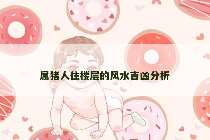 属猪人住楼层的风水吉凶分析