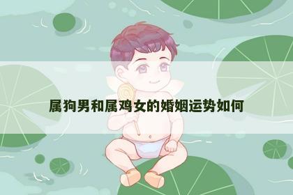 属狗男和属鸡女的婚姻运势如何