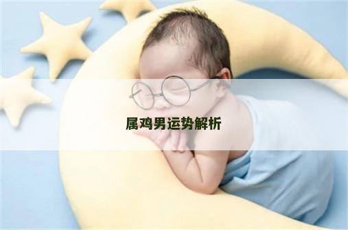属鸡男运势解析