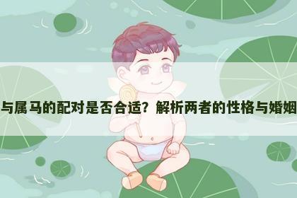 属兔与属马的配对是否合适？解析两者的性格与婚姻运势
