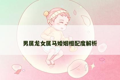 男属龙女属马婚姻相配度解析