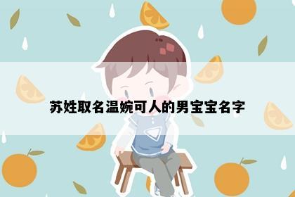 苏姓取名温婉可人的男宝宝名字