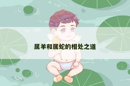 属羊和属蛇的相处之道