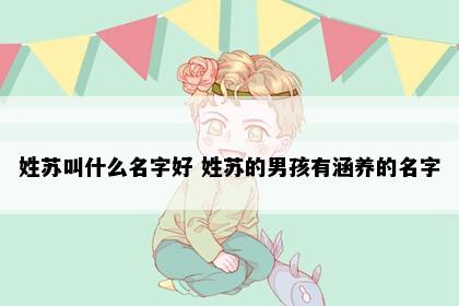 姓苏叫什么名字好 姓苏的男孩有涵养的名字