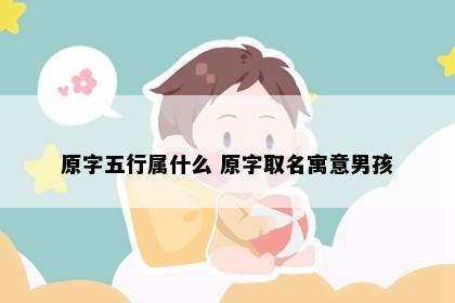 原字五行属什么 原字取名寓意男孩