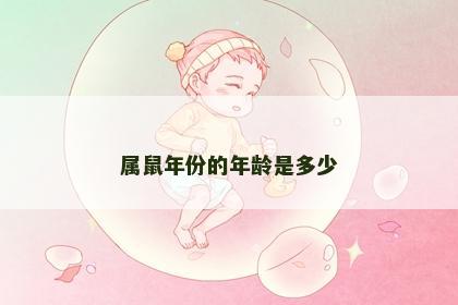 属鼠年份的年龄是多少