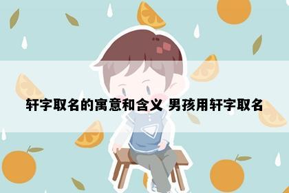 轩字取名的寓意和含义 男孩用轩字取名