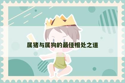 属猪与属狗的最佳相处之道