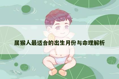 属猴人最适合的出生月份与命理解析