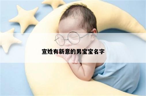 宣姓有新意的男宝宝名字