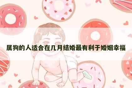属狗的人适合在几月结婚最有利于婚姻幸福