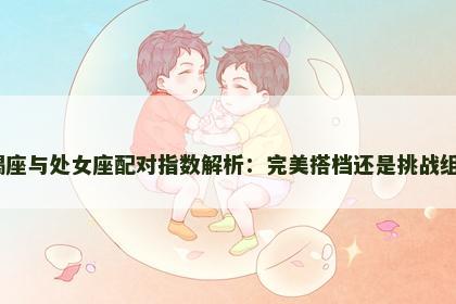 摩羯座与处女座配对指数解析：完美搭档还是挑战组合？