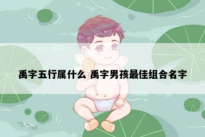 禹字五行属什么 禹字男孩最佳组合名字