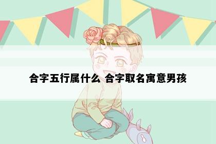 合字五行属什么 合字取名寓意男孩