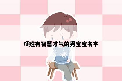 项姓有智慧才气的男宝宝名字