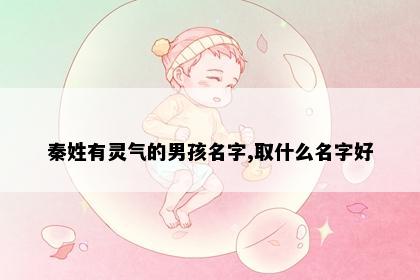 秦姓有灵气的男孩名字,取什么名字好