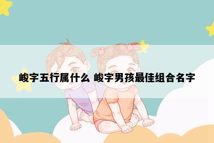 峻字五行属什么 峻字男孩最佳组合名字
