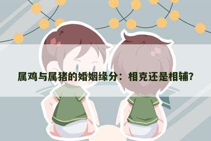 属鸡与属猪的婚姻缘分：相克还是相辅？