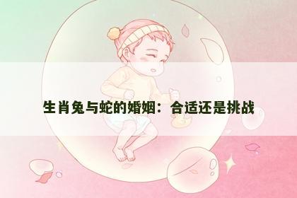 生肖兔与蛇的婚姻：合适还是挑战