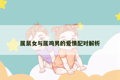 属鼠女与属鸡男的爱情配对解析