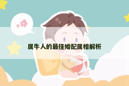 属牛人的最佳婚配属相解析