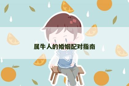 属牛人的婚姻配对指南
