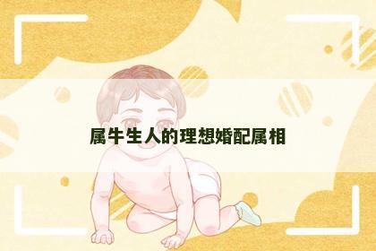 属牛生人的理想婚配属相