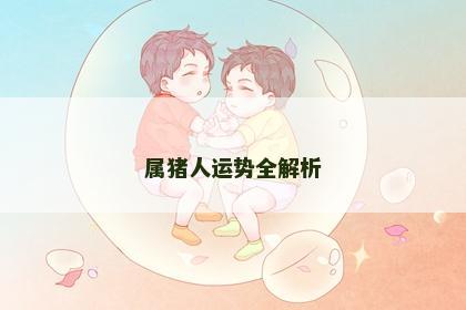 属猪人运势全解析
