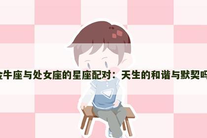 金牛座与处女座的星座配对：天生的和谐与默契吗？