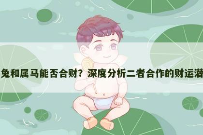 属兔和属马能否合财？深度分析二者合作的财运潜力