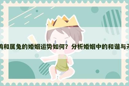 属鸡和属兔的婚姻运势如何？分析婚姻中的和谐与矛盾