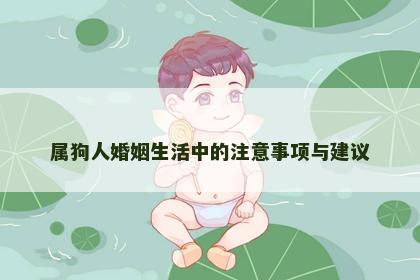 属狗人婚姻生活中的注意事项与建议