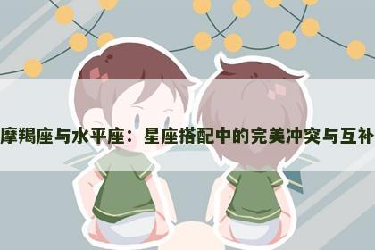 摩羯座与水平座：星座搭配中的完美冲突与互补
